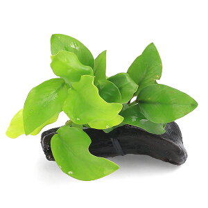 ijAkrAXii@S[f@؁@~jTCYi8cmȉjitji1j