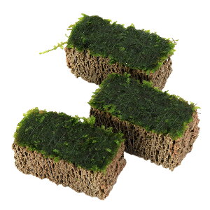 ijā@ăEB[X@TSUMIKIitji_ji3j