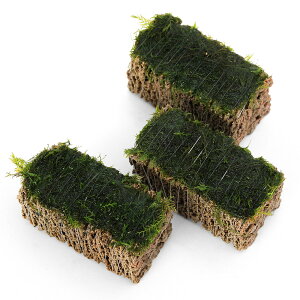 ijā@EH[^[tFU[@TSUMIKIitji_ji1j