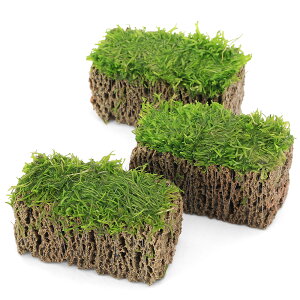 ijā@VA@TSUMIKIitji_ji3j@kCEBq֗vۉ