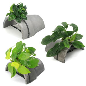 ijԂ̃AkrAX@ii3@eRb^VF^[@Ԃitji1Zbgj