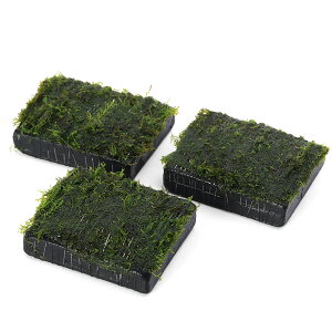 ijā@EH[^[tFU[@Y@itji_ji1j