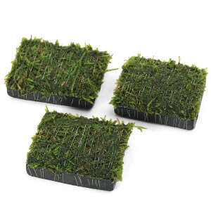 ijā@EB[X@Y@itji_ji3j