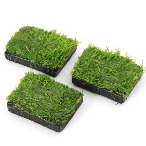 ijā@VA@Y@itji_ji3j