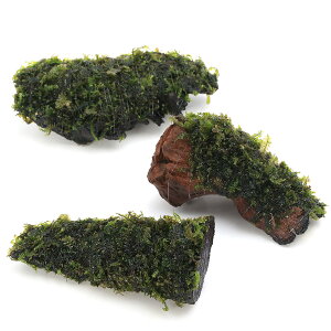 ijā@nlSPspDJ[Y@SSTCYi10cmjitji_ji3j