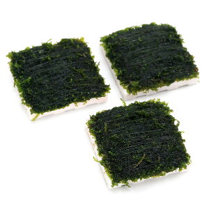 ijā@tWERSPiXp[eXj@^Ci_jitji1j