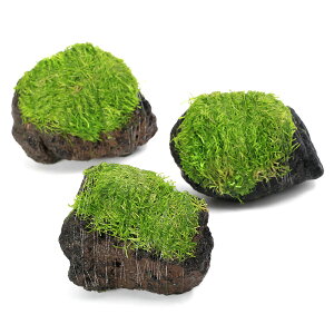 ijā@VA@n΁@STCYi10cmjitji_ji1j@kCEBq֗vۉ