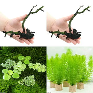 ij}cEB[X~bNXZbgitji_ji1j