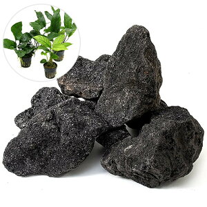 ijCAEgfސZbgVerDn΁i܂AkrAX@3ji1Zbgj