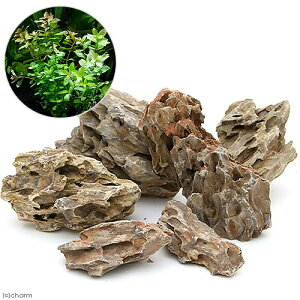 ijCAEgfސZbgVerDzΐ iCt}`ij܂Ls@5ji1Zbgj