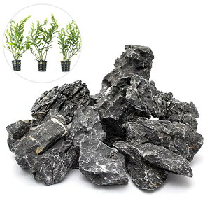 ijCAEgfސZbgVerD΁@i~j|bg {reBX qfBeBi3|bgjji1Zbgj