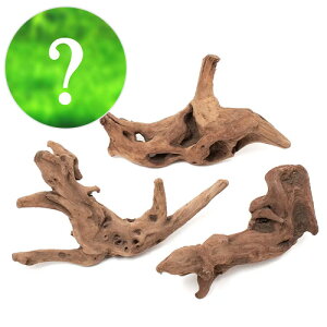 ijCAEgfސZbgVerD㎿ `݂с`@i܂Oiitj3Zbgji1Zbgj