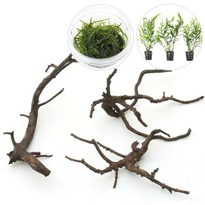 ijCAEgfސZbgVerDɏ㗬؁@SiEB[X{{reBX qfBeB@~j|bgji1Zbgj