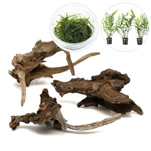 ijCAEgfސZbgVerDfBA[z[Ebh SiEB[X{{reBX qfBeB@~jji1Zbgj