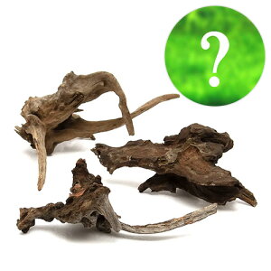 ijCAEgfސZbgVerDfBA[z[Ebh STCY@i܂Oiitj3Zbgj