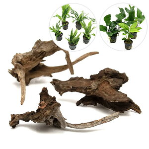 ijCAEgfސZbgVerDfBA[z[Ebh Si~N\E 2{AkrAX 1ji1Zbgj