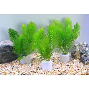 ij}`OzCgij@}c@~ji_ji3j_J@@򉻁@Y