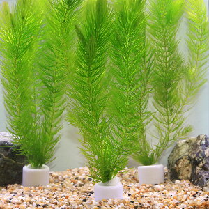 ij}`OzCgij@}ci_ji3j_J@@򉻁@Y