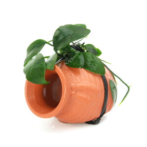 ijgD|{@AkrAXii@̉BƁ@^Rc{~j~jitji1j