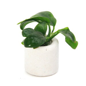 ijgD|{@AkrAXii@}`OzCgijitji1j