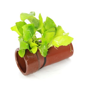 ijAkrAXii@S[f@yǁijitji1j