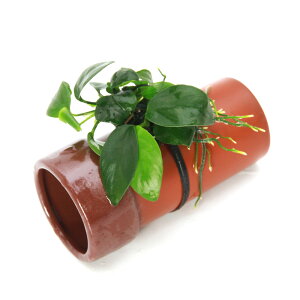 ijgD|{@AkrAXii@yǁijitji1j