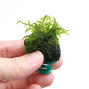 ij琬ρ@EB[sOX@{[itji_ji1j