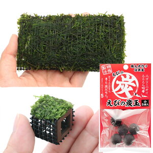 ijGr琬3_Zbg@VerDEB[Xitji_ji1Zbgj@ā@tGr@B