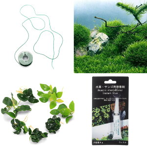 ijXEAkrAXLbg@EB[X3Jbv@AkrAX3@7itjitji_ji1ZbgjXC@ڒ