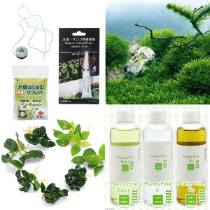 ijXEAkrAXLbg@Completeitjitji_ji1ZbgjXC@ڒ܁@Co2@h{f@֓