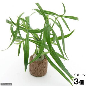 ijCt}`ijPjICOTsp@IWitji_ji3j