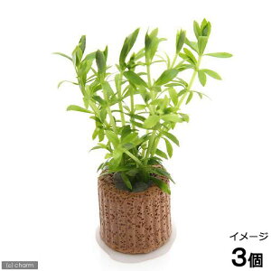 ijCt}`ijxgiS}mnOTitji_ji3j