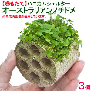 ijā@njJVF^[I[XgA@m`hitji_ji3j