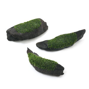 ijā@EB[XspDi[@؁@STCYi15cmjitji_ji1{j