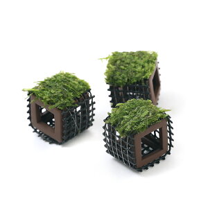 ijā@tGr̉BƁ@EB[Xitji_ji1j