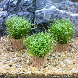 ijCt}`@VAitji_ji3j@kCEBq֗vۉ