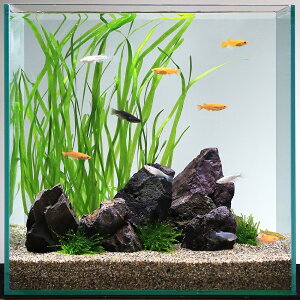 i߂jij_J̐CAEgZbg@̕t@{Bl