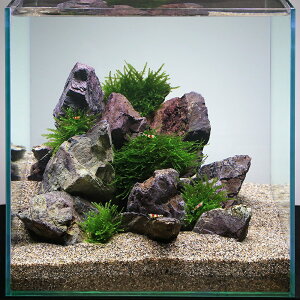 iGrjijr[VvɍCAEgZbg@̕t@{Bl