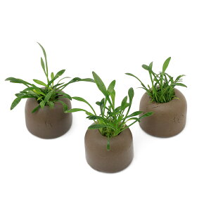 ij[ICgOiO[jNvgRl@p@i3j