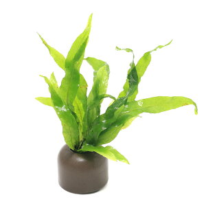 ij[ICgOiO[j~N\E@vevX@i[i1j