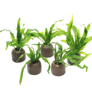 ij[ICgOiO[j~N\E@vevX@i[i5j