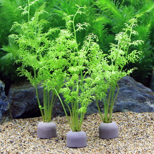 ij[ICgOiO[jAJEH[^[XvCgitji_ji1j