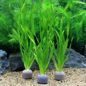 ij[ICgOiO[jXN[oXlAi_ji2j