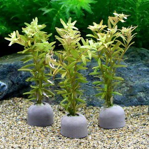 ij[ICgOiO[j^@gfBtHAitji_ji1j