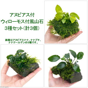 ijAkrAXEB[X@RSTCY@3Zbgiv3j