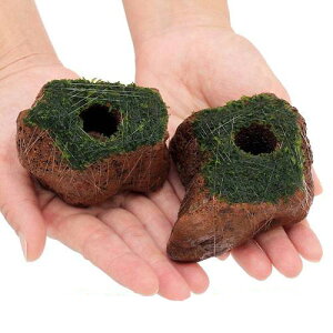 ijā@EB[X@n΁itji_ji1j