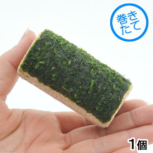 ijā@[W}`O@EB[Xitji_ji1j