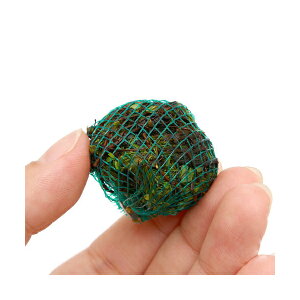 ijā@xgiN[o[{[itji_ji3j