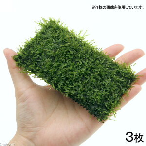 ij琬ρ@EB[X@NbVitji_ji3j