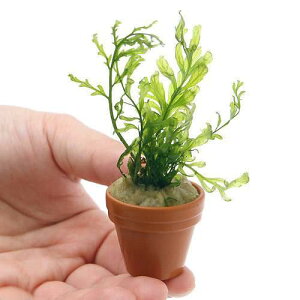 ij{reBX@qfBeB@v`fĂitji_ji1j